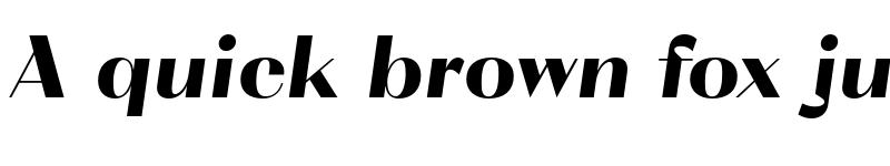 Preview of FONTSPRING DEMO - VolkoSans Poster Black Italic Regular font