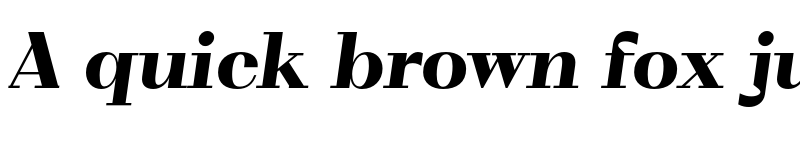 Preview of FONTSPRING DEMO - VolkoSerif Display Black Italic Regular font