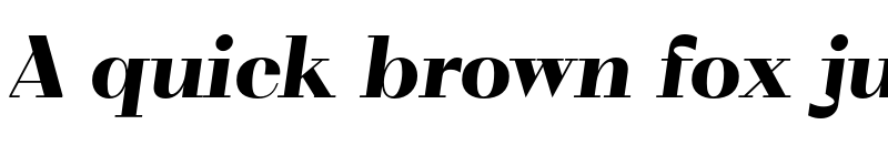 Preview of FONTSPRING DEMO - VolkoSerif Poster Black Italic Regular font