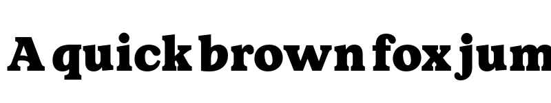 Preview of FONTSPRING DEMO - Walden Black Regular font