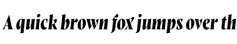 Preview of FONTSPRING DEMO - Wayfinder CF Bold Italic font