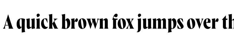 Preview of FONTSPRING DEMO - Wayfinder CF Bold Regular font