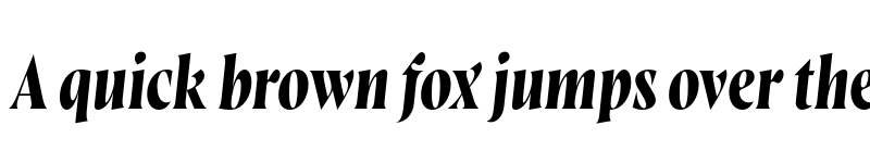 Preview of FONTSPRING DEMO - Wayfinder CF Demi Bold Italic font