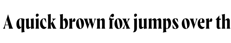 Preview of FONTSPRING DEMO - Wayfinder CF Demi Bold Regular font