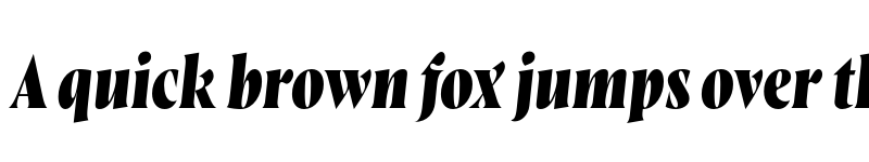 Preview of FONTSPRING DEMO - Wayfinder CF Extra Bold Italic font