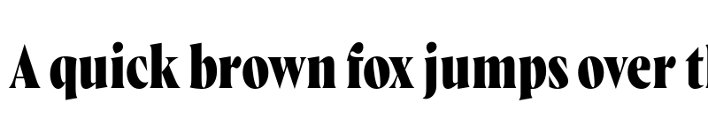 Preview of FONTSPRING DEMO - Wayfinder CF Extra Bold Regular font