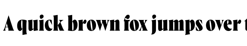 Preview of FONTSPRING DEMO - Wayfinder CF Heavy Regular font