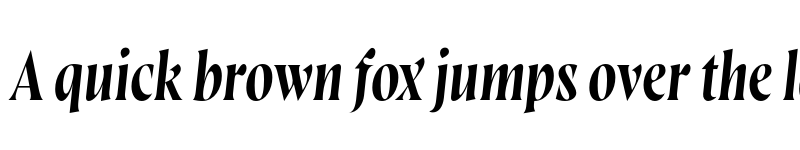 Preview of FONTSPRING DEMO - Wayfinder CF Light Italic font