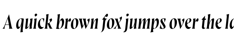 Preview of FONTSPRING DEMO - Wayfinder CF Thin Italic font