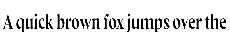 Preview of FONTSPRING DEMO - Wayfinder CF Thin Regular font