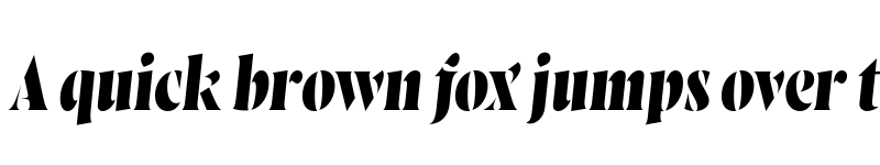 Preview of FONTSPRING DEMO - Wayfinder Stencil CF Extra Bold Italic font