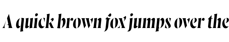 Preview of FONTSPRING DEMO - Wayfinder Stencil CF Italic font