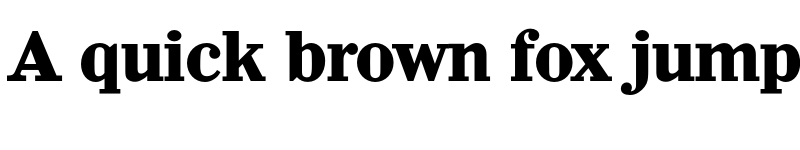 Preview of FONTSPRING DEMO - Wichita Serial Xbold Regular font