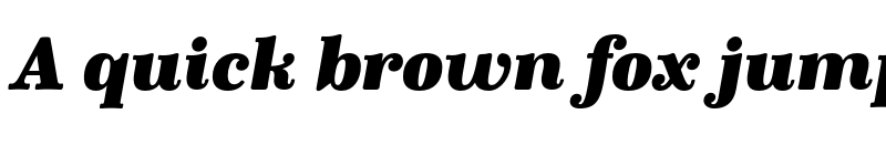 Preview of FONTSPRING DEMO - Winslow Book Black Italic Italic font