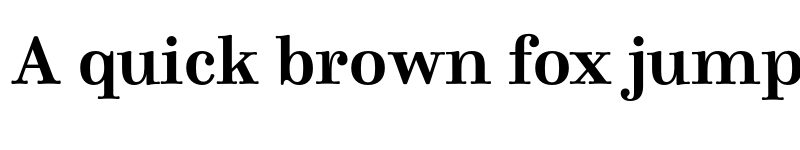 Preview of FONTSPRING DEMO - Winslow Book Bold Regular font