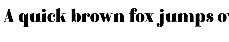 Preview of FONTSPRING DEMO - Winslow Title Black Narrow Regular font