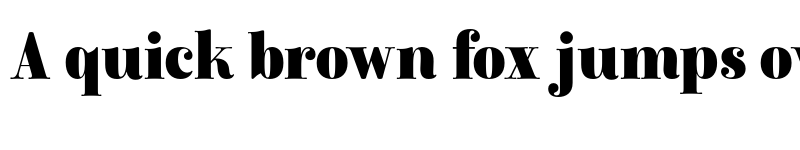 Preview of FONTSPRING DEMO - Winslow Title Mod Black Narrow Regular font