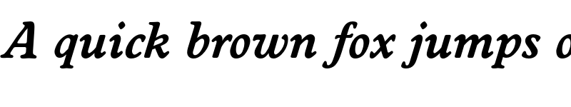 Preview of FONTSPRING DEMO - Worcester Serial Bold Italic font