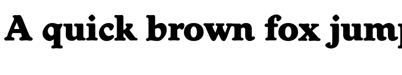 Preview of FONTSPRING DEMO - Worcester Serial Heavy Regular font