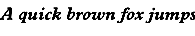 Preview of FONTSPRING DEMO - Worcester Serial Xbold Italic font