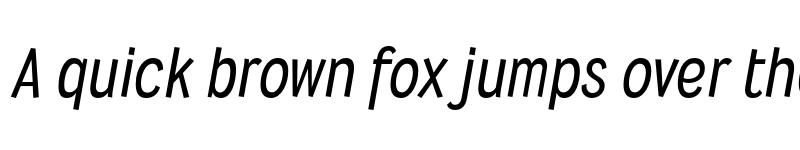 Preview of FONTSPRING DEMO - Wyvern Rg Italic font