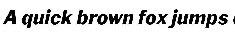 Preview of FONTSPRING DEMO - Xpress Bold Italic font