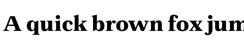 Preview of FONTSPRING DEMO - Zeit Extrabold Regular font