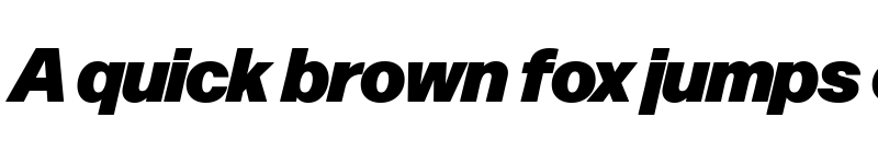 Preview of Forma DJR Banner Black Italic font