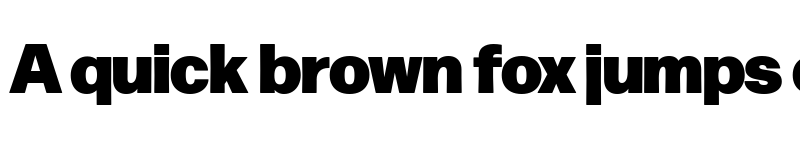 Preview of Forma DJR Banner Black font