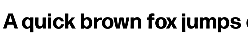 Preview of Forma DJR Micro Bold font