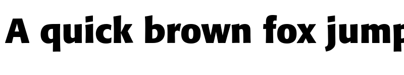 Preview of Formata Bold font