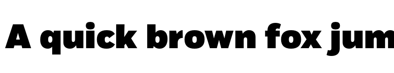 Preview of Fort Black font