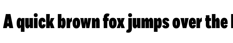 Preview of Fort XCond Black font