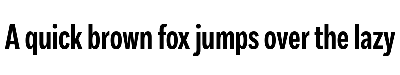 Preview of Fort XCond Bold font