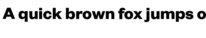 Preview of Founders Grotesk Bold font