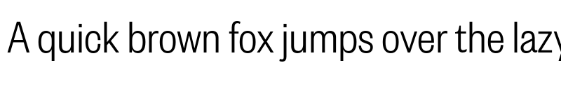 Preview of Founders Grotesk Condensed Light font