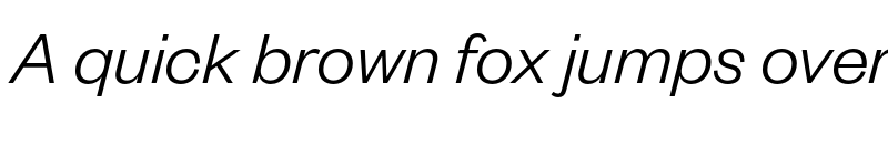 Preview of Founders Grotesk Light Italic font