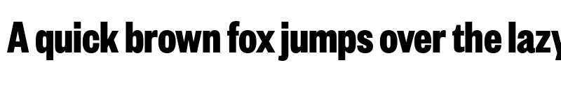 Preview of Founders Grotesk X-Condensed Bold font