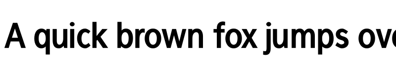 Preview of FrancophilSans Bold font