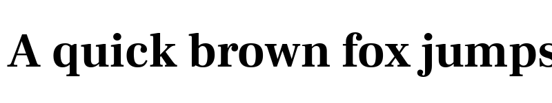 Preview of Frank Ruhl Libre Bold font