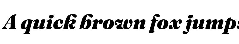Preview of Fraunces 72pt S000 Black Italic font