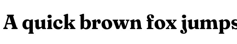 Preview of Fraunces 72pt S050 Bold font