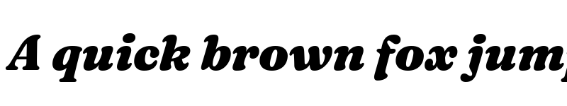 Preview of Fraunces 9pt S000 Black Italic font