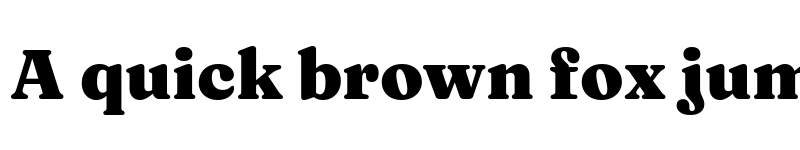 Preview of Fraunces 9pt S000 Black font