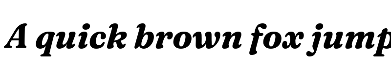 Preview of Fraunces 9pt S000 Bold Italic font