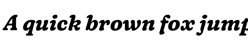 Preview of Fraunces 9pt S100 Bold Italic font