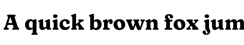 Preview of Fraunces 9pt S100 Bold font