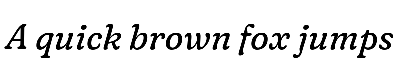 Preview of Fraunces 9pt S100 Italic font