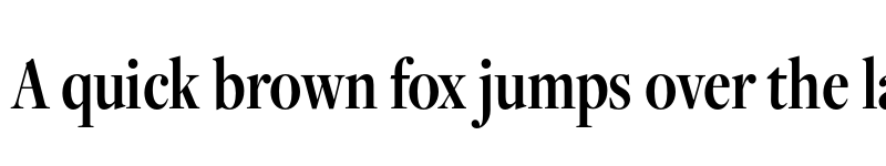 Preview of FreightDispCmp Pro Semibold font