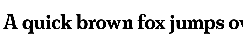 Preview of FS Split Serif Trial Bold font